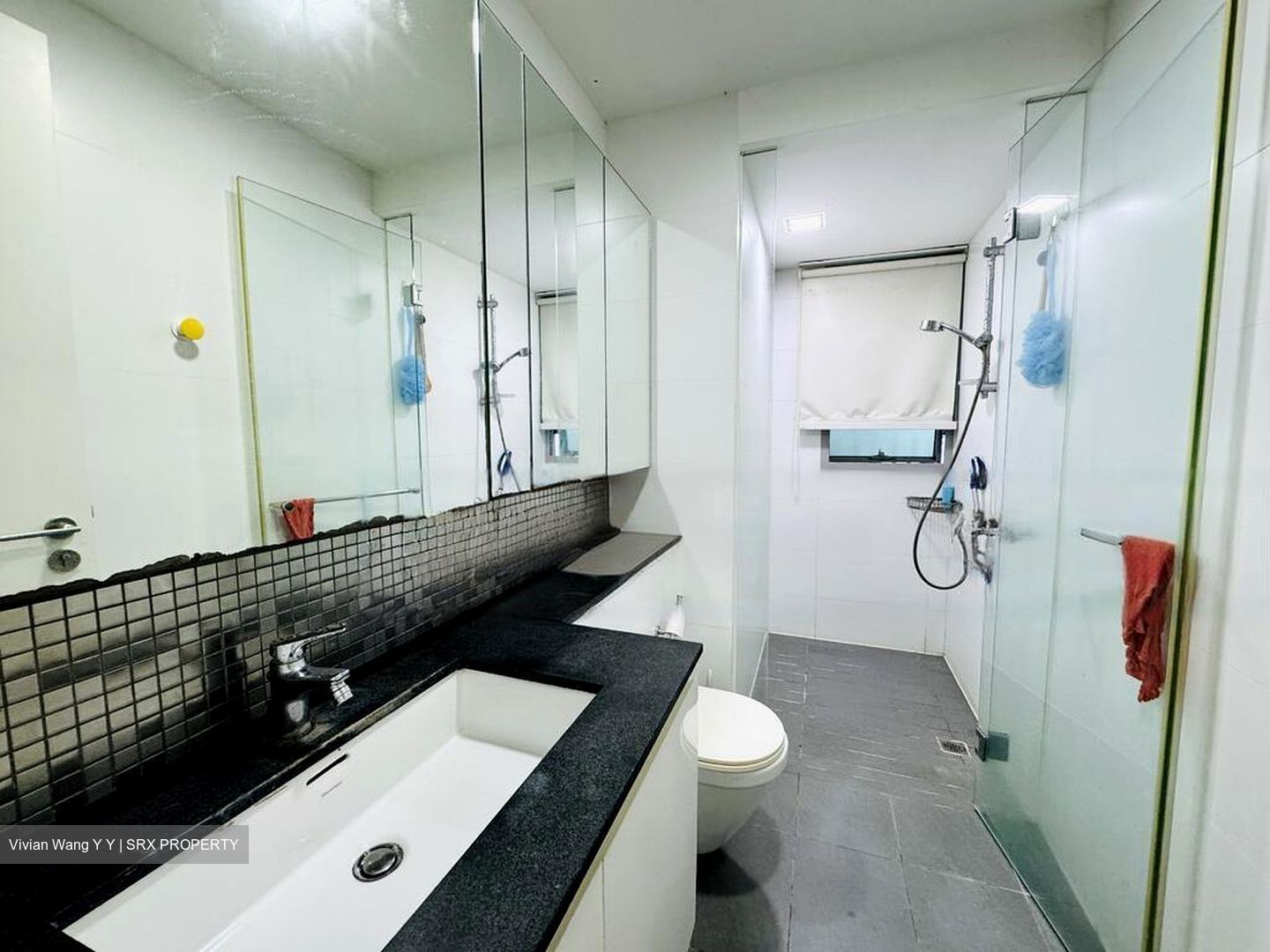 The Minton (D19), Condominium #477325031